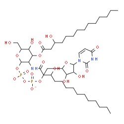 ChemSpider 2D Image | [[5-(2,4-dioxopyrimidin-1-yl)-3,4-dihydroxy-tetrahydrofuran-2-yl]methoxy-oxido-phosphoryl] [5-hydroxy-6-(hydroxymethyl)-3-(3-hydroxytetradecanoylamino)-4-(3-hydroxytetradecanoyloxy)tetrahydropyran-2-yl] phosphate | C43H75N3O20P2