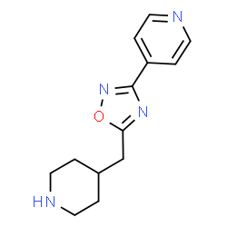 ChemSpider 2D Image | 4-[5-(4-Piperidinylmethyl)-1,2,4-oxadiazol-3-yl]pyridine | C13H16N4O