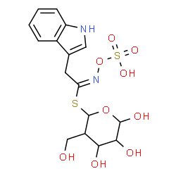 ChemSpider 2D Image | 4,5,6-Trihydroxy-3-(hydroxymethyl)tetrahydro-2H-pyran-2-yl (1E)-2-(1H-indol-3-yl)-N-(sulfooxy)ethanimidothioate | C16H20N2O9S2
