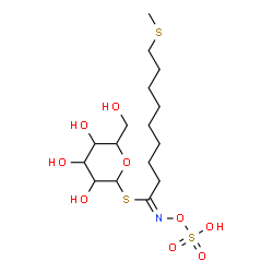ChemSpider 2D Image | 1-S-[(1E)-9-(Methylsulfanyl)-N-(sulfooxy)nonanimidoyl]-1-thiohexopyranose | C16H31NO9S3