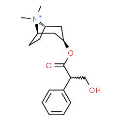ChemSpider 2D Image | (3-endo)-3-[(3-Hydroxy-2-phenylpropanoyl)oxy]-8,8-dimethyl-8-azoniabicyclo[3.2.1]octane | C18H26NO3