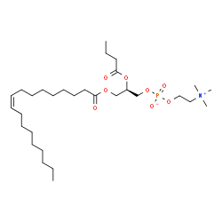 ChemSpider 2D Image | (2R)-2-(Butyryloxy)-3-[(9Z)-9-octadecenoyloxy]propyl 2-(trimethylammonio)ethyl phosphate | C30H58NO8P