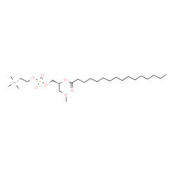 ChemSpider 2D Image | 1-methyl-2-hexadecanoyl-sn-glycero-3-phosphocholine | C25H52NO7P