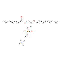 ChemSpider 2D Image | (2R)-3-(Heptanoyloxy)-2-(octyloxy)propyl 2-(trimethylammonio)ethyl phosphate | C23H48NO7P