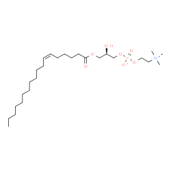 ChemSpider 2D Image | (2R)-2-Hydroxy-3-[(6Z)-6-octadecenoyloxy]propyl 2-(trimethylammonio)ethyl phosphate | C26H52NO7P