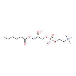 ChemSpider 2D Image | L-α-LYSOPHOSPHATIDYLCHOLINE, CAPROYL | C14H30NO7P