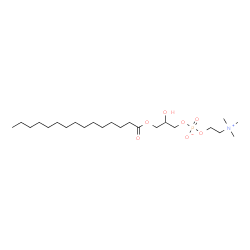 ChemSpider 2D Image | 2-Hydroxy-3-(pentadecanoyloxy)propyl 2-(trimethylammonio)ethyl phosphate | C23H48NO7P