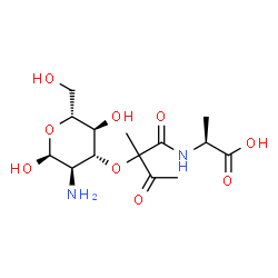 ChemSpider 2D Image | (2S)-2-[(2-{[(2S,3R,4R,5S,6R)-3-Amino-2,5-dihydroxy-6-(hydroxymethyl)tetrahydro-2H-pyran-4-yl]oxy}-2-methyl-3-oxobutanoyl)amino]propanoic acid | C14H24N2O9