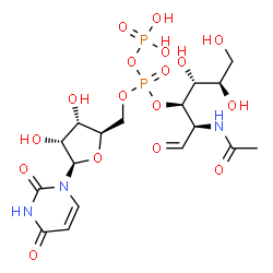 ChemSpider 2D Image | [(1R,2R,3R)-1-[(1R)-1-acetamido-2-oxo-ethyl]-2,3,4-trihydroxy-butyl] [(2R,3S,4R,5R)-5-(2,4-dioxopyrimidin-1-yl)-3,4-dihydroxy-tetrahydrofuran-2-yl]methyl phosphono phosphate | C17H27N3O17P2