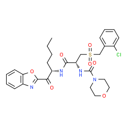 ChemSpider 2D Image | N-{(2R)-1-{[(2S)-1-(1,3-Benzoxazol-2-yl)-1-oxo-2-hexanyl]amino}-3-[(2-chlorobenzyl)sulfonyl]-1-oxo-2-propanyl}-4-morpholinecarboxamide | C28H33ClN4O7S