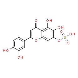 ChemSpider 2D Image | 2-(3,4-Dihydroxyphenyl)-5,6-dihydroxy-4-oxo-4H-chromen-7-yl hydrogen sulfate | C15H10O10S