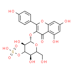 ChemSpider 2D Image | 5,7-Dihydroxy-2-(4-hydroxyphenyl)-4-oxo-4H-chromen-3-yl 3-O-sulfo-beta-D-erythro-hexopyranoside | C21H20O14S