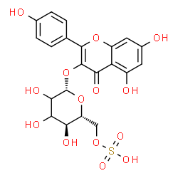 ChemSpider 2D Image | 5,7-Dihydroxy-2-(4-hydroxyphenyl)-4-oxo-4H-chromen-3-yl 6-O-sulfo-beta-D-erythro-hexopyranoside | C21H20O14S