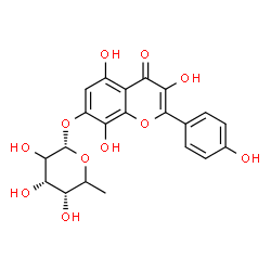 ChemSpider 2D Image | 3,5,8-Trihydroxy-2-(4-hydroxyphenyl)-4-oxo-4H-chromen-7-yl 6-deoxy-alpha-L-erythro-hexopyranoside | C21H20O11