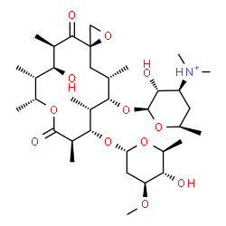 ChemSpider 2D Image | (3R,5R,6S,7R,8R,11R,12S,13R,14S,15S)-6-Hydroxy-5,7,8,11,13,15-hexamethyl-4,10-dioxo-14-{[3,4,6-trideoxy-3-(dimethylammonio)-beta-D-xylo-hexopyranosyl]oxy}-1,9-dioxaspiro[2.13]hexadec-12-yl 2,6-dideoxy
-3-O-methyl-alpha-L-arabino-hexopyranoside | C35H62NO12
