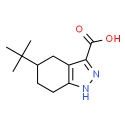 ChemSpider 2D Image | 5-tert-Butyl-4,5,6,7-tetrahydro-1H-indazole-3-carboxylic acid | C12H18N2O2