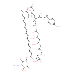 ChemSpider 2D Image | (23E,25E,27E,29E,31E,33E,35E)-22-[(3-Amino-3,6-dideoxyhexopyranosyl)oxy]-38-[7-(4-aminophenyl)-5-hydroxy-4-methyl-7-oxo-2-heptanyl]-10,12,14,18,20-pentahydroxy-37-methyl-2,4,8,16-tetraoxooxacyclooctat
riaconta-23,25,27,29,31,33,35-heptaene-19-carboxylic acid | C59H84N2O18
