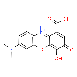 ChemSpider 2D Image | 1-Carboxy-7-(dimethylamino)-4-hydroxy-3-oxo-3H-phenoxazin-10-ium | C15H13N2O5