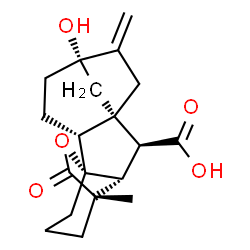 ChemSpider 2D Image | (1R,2R,5S,8S,9S,10R,11S)-5-Hydroxy-11-methyl-6-methylene-16-oxo-15-oxapentacyclo[9.3.2.1~5,8~.0~1,10~.0~2,8~]heptadecane-9-carboxylic acid | C19H24O5