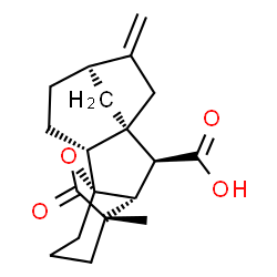 ChemSpider 2D Image | (1R,2R,5R,8R,9S,10R,11S)-11-Methyl-6-methylene-16-oxo-15-oxapentacyclo[9.3.2.1~5,8~.0~1,10~.0~2,8~]heptadecane-9-carboxylic acid | C19H24O4