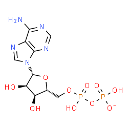 ChemSpider 2D Image | 5'-O-{Hydroxy[(hydroxyphosphinato)oxy]phosphoryl}adenosine | C10H14N5O10P2