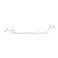 ChemSpider 2D Image | N-Acetyl-O-[(2R,4E,8R,10E,12E,14E,16E,18E,20E)-21-{3-[(3S)-3-amino-3-carboxypropyl]-4-hydroxy-2-oxo-2H-pyran-6-yl}-8-hydroxy-4,10,12,14,16,18,20-henicosaheptaen-2-yl]-L-homoserine | C36H48N2O10