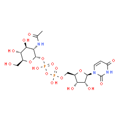 ChemSpider 2D Image | (2S,3S,4S,5R,6S)-3-Acetamido-4,5-dihydroxy-6-(hydroxymethyl)tetrahydro-2H-pyran-2-yl [(2R,3S,4R,5R)-5-(2,4-dioxo-3,4-dihydro-1(2H)-pyrimidinyl)-3,4-dihydroxytetrahydro-2-furanyl]methyl dihydrogen diph
osphate | C17H27N3O17P2