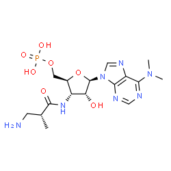 ChemSpider 2D Image | 3'-{[(2R)-3-Amino-2-methylpropanoyl]amino}-3'-deoxy-N,N-dimethyladenosine 5'-(dihydrogen phosphate) | C16H26N7O7P