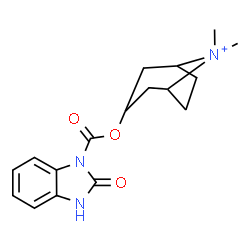 ChemSpider 2D Image | 8,8-Dimethyl-3-{[(2-oxo-2,3-dihydro-1H-benzimidazol-1-yl)carbonyl]oxy}-8-azoniabicyclo[3.2.1]octane | C17H22N3O3