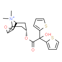 ChemSpider 2D Image | (2S,4S)-7-[2-Hydroxy(di-2-thienyl)acetoxy]-9,9-dimethyl-3-oxa-9-azoniatricyclo[3.3.1.0~2,4~]nonane | C19H22NO4S2