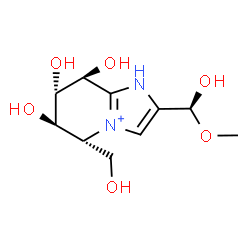 ChemSpider 2D Image | (5R,6R,7S,8S)-6,7,8-Trihydroxy-2-[(S)-hydroxy(methoxy)methyl]-5-(hydroxymethyl)-5,6,7,8-tetrahydro-1H-imidazo[1,2-a]pyridin-4-ium | C10H17N2O6