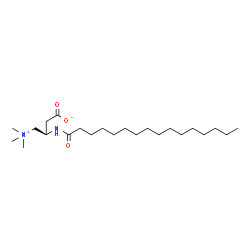 ChemSpider 2D Image | (3R)-3-(Palmitoylamino)-4-(trimethylammonio)butanoate | C23H46N2O3
