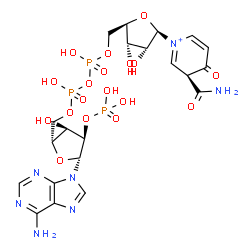 ChemSpider 2D Image | [[(2R,3R,4R,5R)-5-(6-aminopurin-9-yl)-3-hydroxy-4-phosphonooxy-tetrahydrofuran-2-yl]methoxy-hydroxy-phosphoryl] [(2R,3S,4R,5R)-5-[(3S)-3-carbamoyl-4-oxo-3H-pyridin-1-ium-1-yl]-3,4-dihydroxy-tetrahydrofuran-2-yl]methyl hydrogen phosphate | C21H29N7O18P3