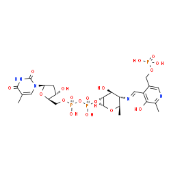 ChemSpider 2D Image | (2R,3R,4S,5S,6R)-3,4-dihydroxy-5-[({3-hydroxy-2-methyl-5-[(phosphonooxy)methyl]pyridin-4-yl}methyl)imino]-6-methyltetrahydro-2H-pyran-2-yl [(2R,3S,5R)-3-hydroxy-5-(5-methyl-2,4-dioxo-3,4-dihydropyrimidin-1(2H)-yl)tetrahydrofuran-2-yl]methyl dihydroge | C24H35N4O19P3