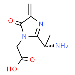 ChemSpider 2D Image | {2-[(1S)-1-Aminoethyl]-4-methylene-5-oxo-4,5-dihydro-1H-imidazol-1-yl}acetic acid | C8H11N3O3