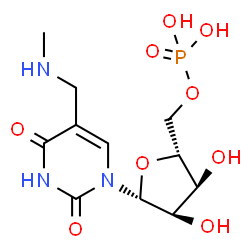 ChemSpider 2D Image | 5-[(Methylamino)methyl]uridine 5'-(dihydrogen phosphate) | C11H18N3O9P