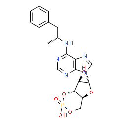ChemSpider 2D Image | (2R)-N6-(1-methyl-2-phenylethyl)adenosine-3',5'-cyclic monophosphate | C19H22N5O6P