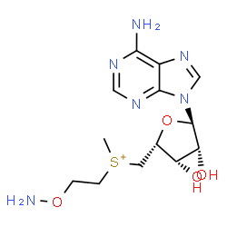 ChemSpider 2D Image | 2-aminooxyethyl-[[(2R,3S,4R,5R)-5-(6-aminopurin-9-yl)-3,4-dihydroxy-tetrahydrofuran-2-yl]methyl]-methyl-sulfonium | C13H21N6O4S