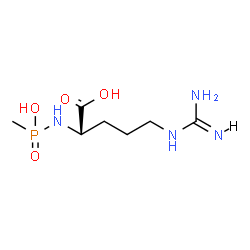ChemSpider 2D Image | methyl phosphonated L-arginine | C7H17N4O4P
