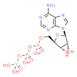 ChemSpider 2D Image | [Adenosinato 5'-(trihydrogen diphosphate)](dihydroxy)oxovanadium | C10H16N5O13P2V