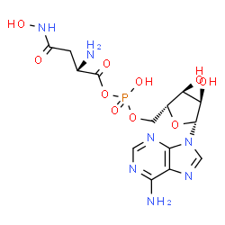 ChemSpider 2D Image | 5'-O-[{[(2S)-2-Amino-4-(hydroxyamino)-4-oxobutanoyl]oxy}(hydroxy)phosphoryl]adenosine | C14H20N7O10P