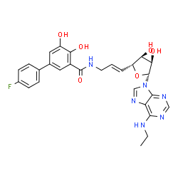 ChemSpider 2D Image | N-[(E)-3-[(2r,3s,4r,5r)-5-(6-Ethylaminopurin-9-Yl)-3,4-Dihydroxy-Oxolan-2-Yl]prop-2-Enyl]-5-(4-Fluorophenyl)-2,3-Dihydroxy-Benzamide | C27H27FN6O6