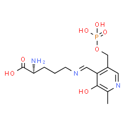ChemSpider 2D Image | (E)-N~5~-({3-Hydroxy-2-methyl-5-[(phosphonooxy)methyl]-4-pyridinyl}methylene)-L-ornithine | C13H20N3O7P
