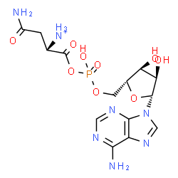 ChemSpider 2D Image | 5'-O-[{[(2S)-4-Amino-2-ammonio-4-oxobutanoyl]oxy}(hydroxy)phosphoryl]adenosine | C14H21N7O9P