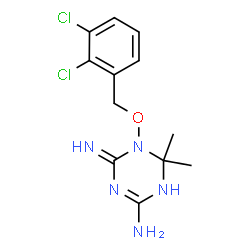 ChemSpider 2D Image | 1-[(2,3-Dichlorobenzyl)oxy]-6,6-dimethyl-1,6-dihydro-1,3,5-triazine-2,4-diamine | C12H15Cl2N5O
