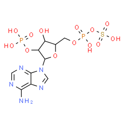 ChemSpider 2D Image | 9-{5-O-[Hydroxy(sulfooxy)phosphoryl]-2-O-phosphonopentofuranosyl}-9H-purin-6-amine | C10H15N5O13P2S