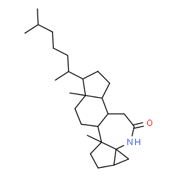 ChemSpider 2D Image | 3a,5a-Dimethyl-6-(6-methyl-2-heptanyl)tetradecahydro-1H-cyclopropa[1,5]cyclopenta[1,2-b]indeno[5,4-d]azepin-10(11H)-one | C27H45NO