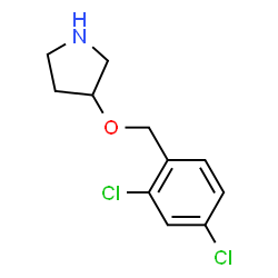 ChemSpider 2D Image | 3-((2,4-Dichlorobenzyl)oxy)pyrrolidine | C11H13Cl2NO