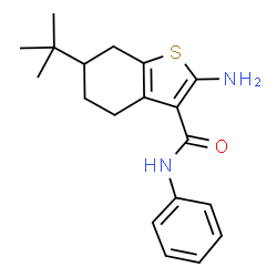 ChemSpider 2D Image | 2-Amino-6-tert-butyl-N-phenyl-4,5,6,7-tetrahydro-1-benzothiophene-3-carboxamide | C19H24N2OS