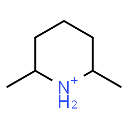 ChemSpider 2D Image | 2,6-Dimethylpiperidinium | C7H16N